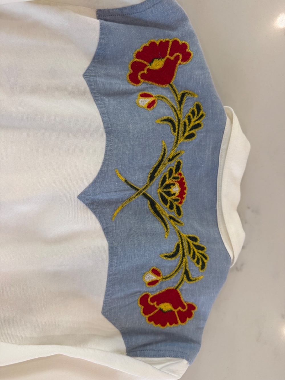 Stetson & THE GREAT Embroidered Western Shirt - Picture 5 of 14